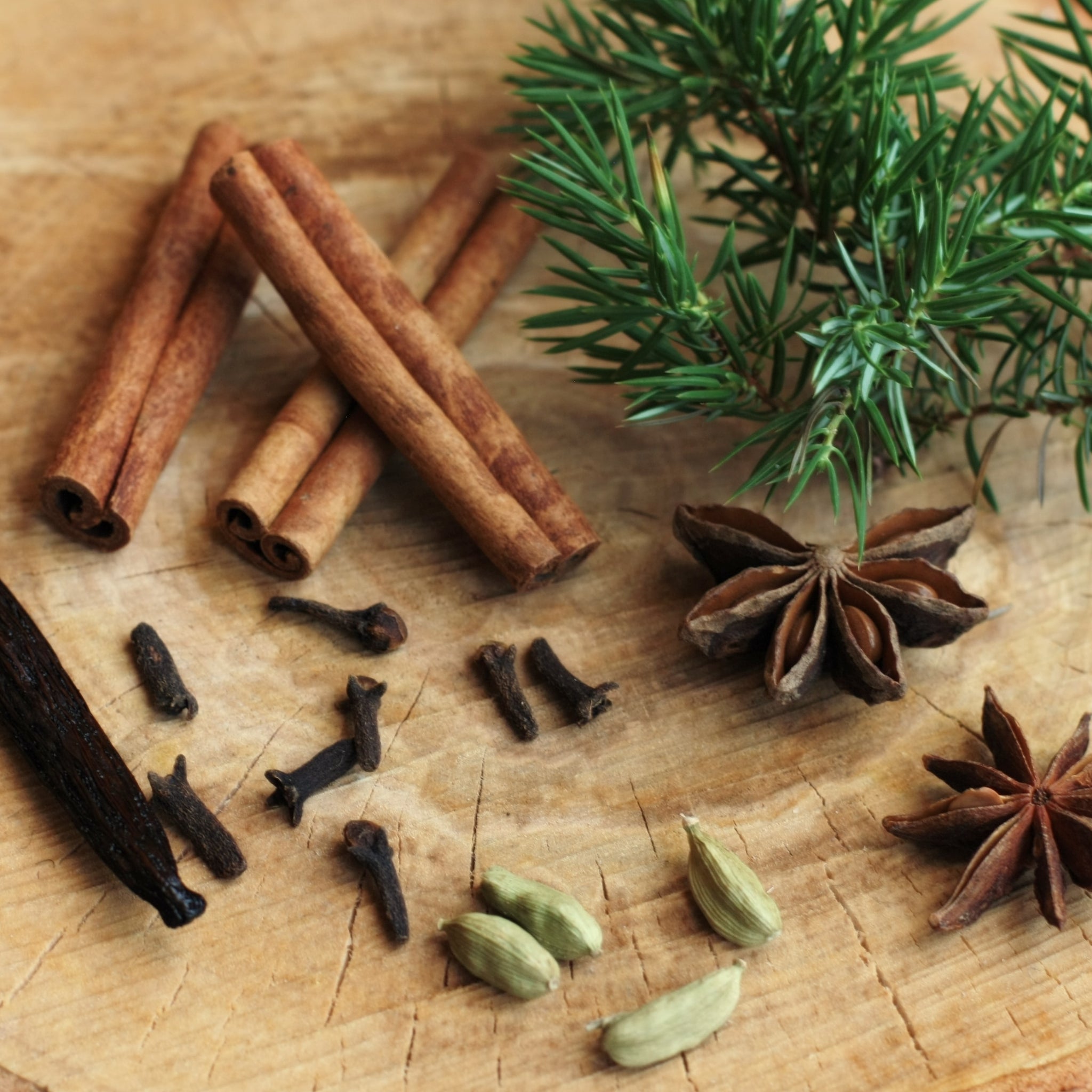 Festive Spices and Herbs from around the world